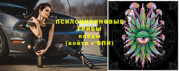 ешки Алзамай
