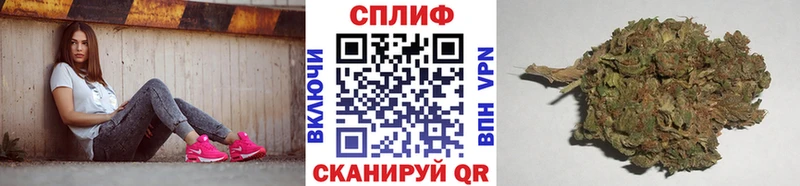МАРИХУАНА OG Kush Николаевск